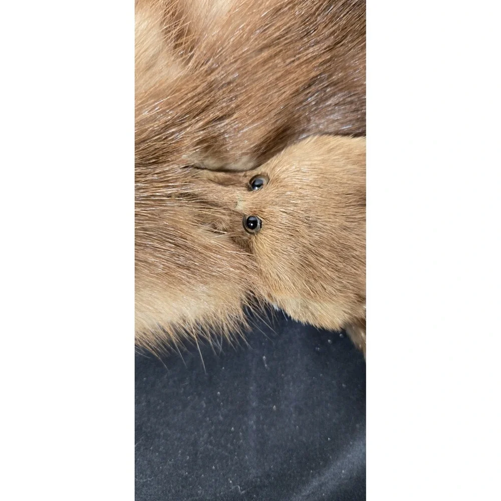 Large Brown 4 pelt Albrecht Furs St. Paul, Minnesota Sable Stole